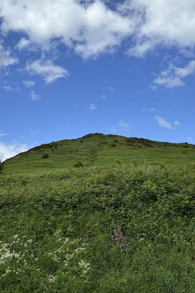 Edinburgh Day Tour