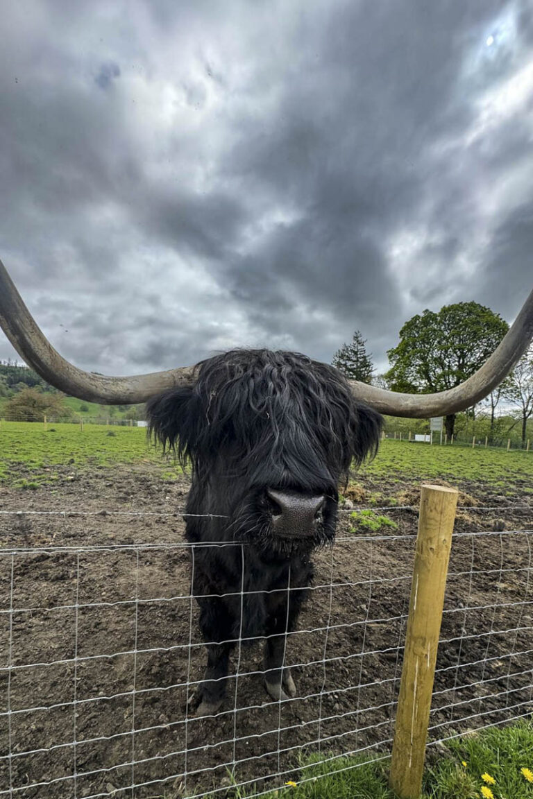 Stirling and Loch Lomond Day Tour