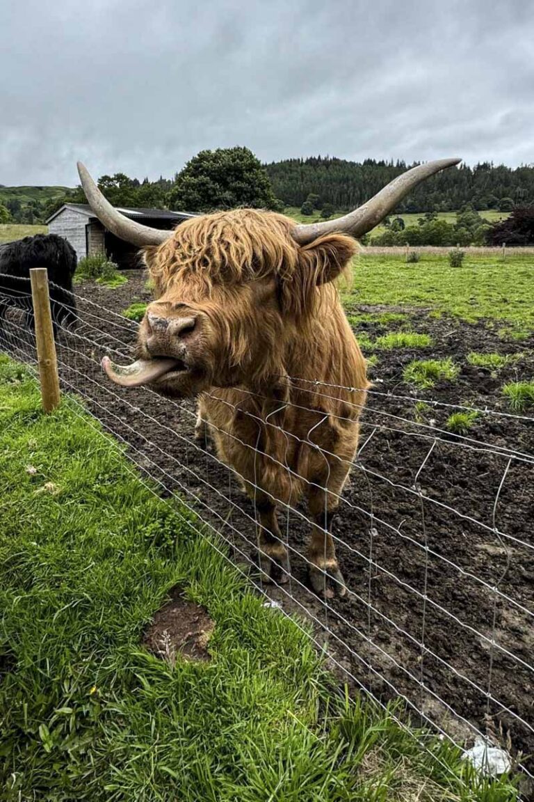 3 Day Scotland Tour